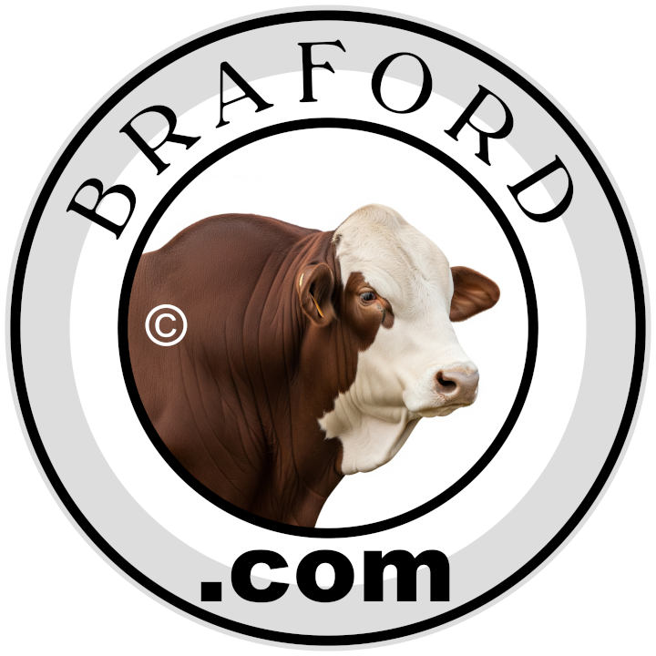 braford.com